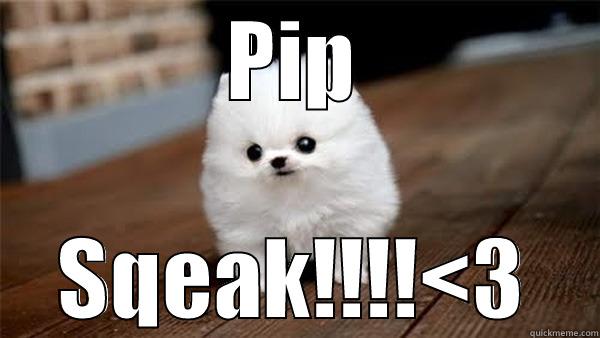 PIP SQEAK!!!!<3 Misc