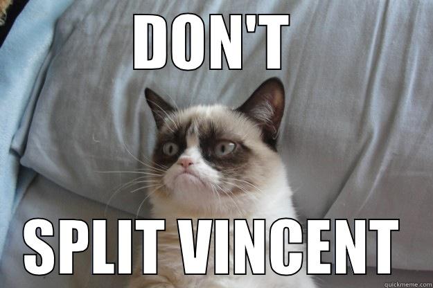 DON'T SPLIT VINCENT Grumpy Cat