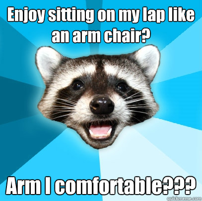 Enjoy sitting on my lap like an arm chair? Arm I comfortable??? - Enjoy sitting on my lap like an arm chair? Arm I comfortable???  Lame Pun Coon