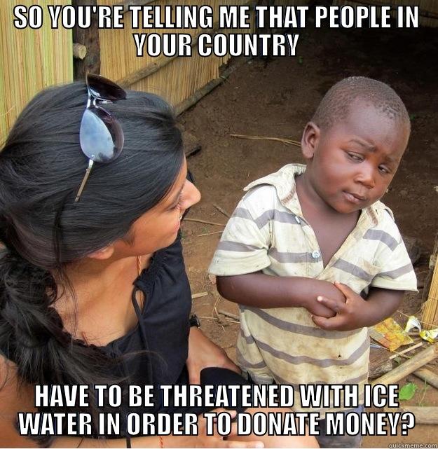 SO YOU'RE TELLING ME THAT PEOPLE IN YOUR COUNTRY HAVE TO BE THREATENED WITH ICE WATER IN ORDER TO DONATE MONEY? Skeptical Third World Kid