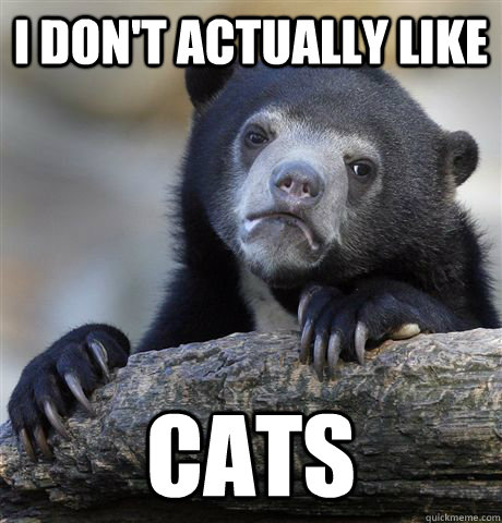 I don't actually like cats  Confession Bear