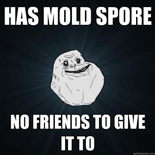 Has mold spore no friends to give it to  Forever Alone