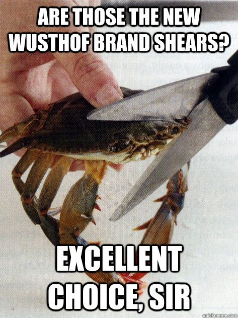 Are those the new wusthof brand shears? excellent choice, sir  Optimistic Crab