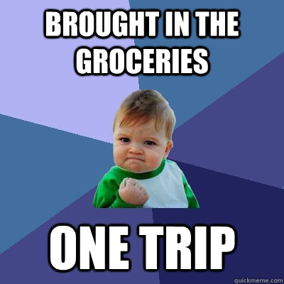 brought in the groceries one trip - brought in the groceries one trip  Success Kid