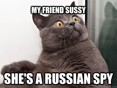 My friend sussy she's a russian spy - My friend sussy she's a russian spy  conspiracy cat