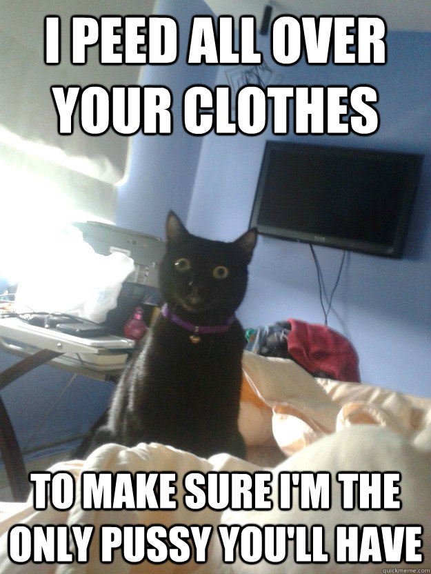 I PEED ALL OVER YOUR CLOTHES TO MAKE SURE I'M THE ONLY PUSSY YOU'LL HAVE  overly attached cat