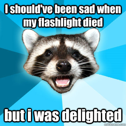 I should've been sad when my flashlight died but i was delighted  Lame Pun Coon