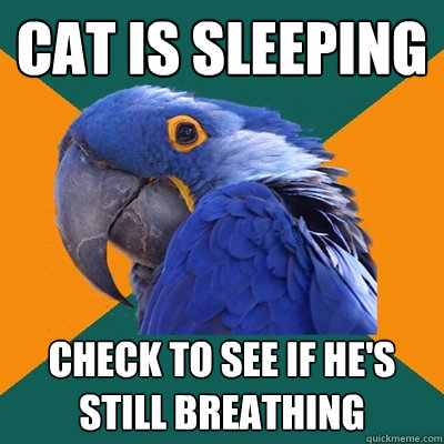 Cat is sleeping Check to see if he's still breathing - Cat is sleeping Check to see if he's still breathing  Paranoid Parrot