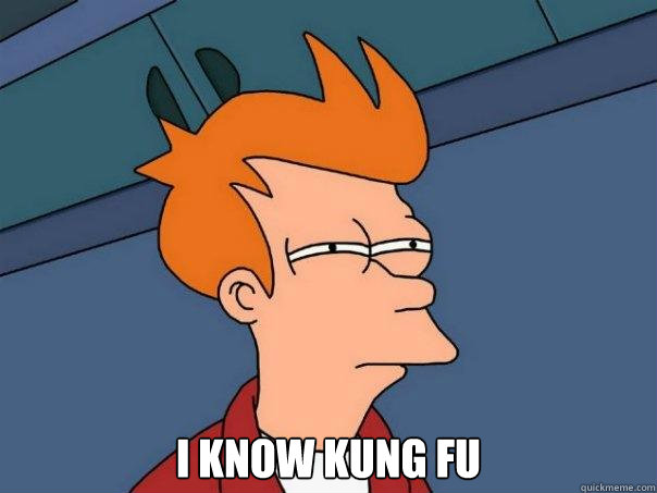  I know Kung Fu  Futurama Fry