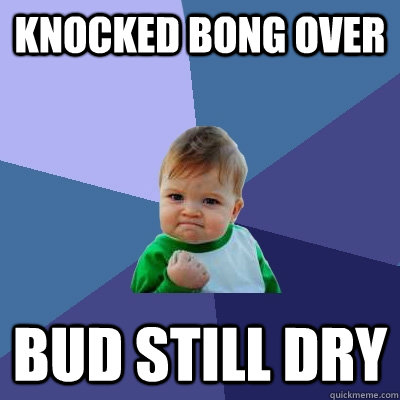 Knocked bong over Bud still dry  Success Kid