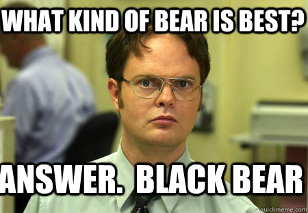 What Kind of Bear is best? Answer.  black bear - What Kind of Bear is best? Answer.  black bear  Schrute