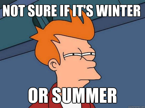 Not sure if it's winter or summer - Not sure if it's winter or summer  Futurama Fry