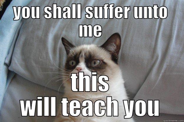 you shall suffer unto me - YOU SHALL SUFFER UNTO ME THIS WILL TEACH YOU Grumpy Cat