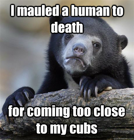 I mauled a human to death for coming too close to my cubs  Confession Bear