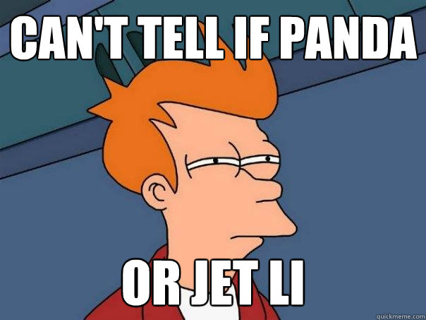 Can't tell if panda or jet li - Can't tell if panda or jet li  Futurama Fry