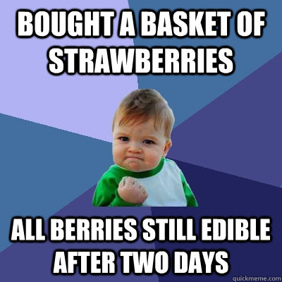 Bought a basket of strawberries All berries still edible after two days  Success Kid