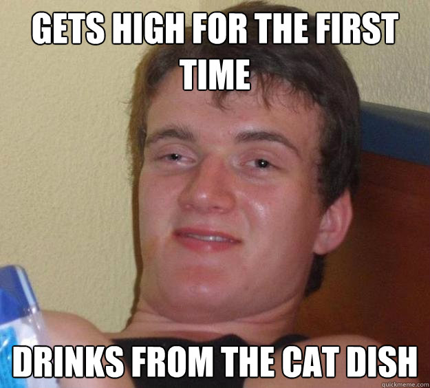 gets high for the first  time drinks from the cat dish  10 Guy