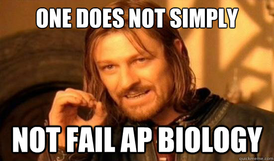 One Does Not Simply not fail ap biology - One Does Not Simply not fail ap biology  Boromir