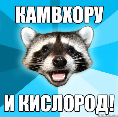 КАМВХОРУ И КИСЛОРОД! - КАМВХОРУ И КИСЛОРОД!  Lame Pun Coon