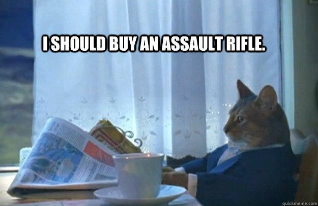 I should buy an assault rifle.  Sophisticated Cat