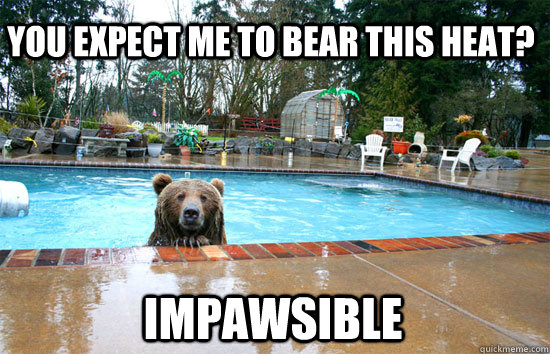 You expect me to bear this heat?  Impawsible - You expect me to bear this heat?  Impawsible  Bear In Pool