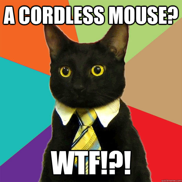 A cordless mouse? Wtf!?!  Business Cat