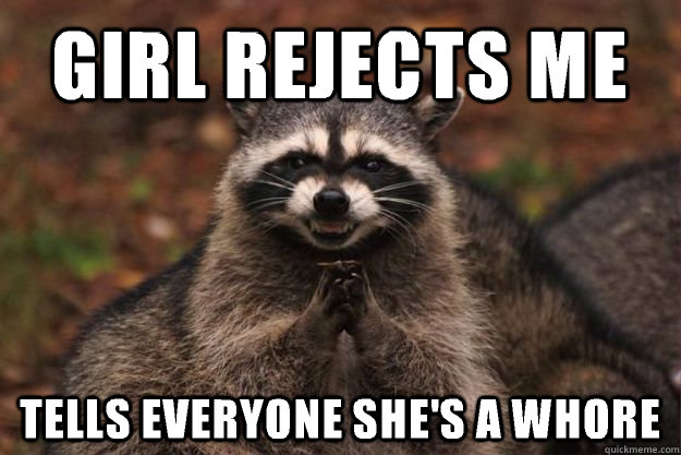 girl rejects me tells everyone she's a whore - girl rejects me tells everyone she's a whore  Evil Plotting Raccoon