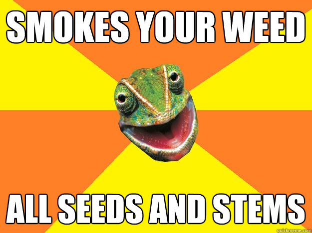 smokes your weed all seeds and stems  Karma Chameleon