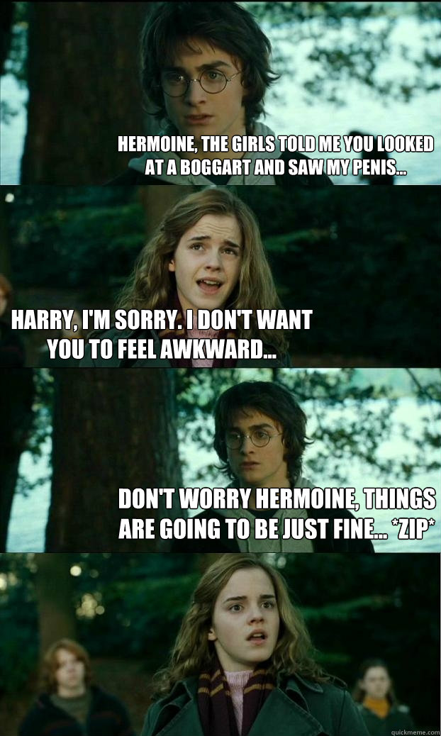 Hermoine, the girls told me you looked at a Boggart and saw my penis... Harry, I'm sorry. I don't want you to feel awkward... Don't worry Hermoine, things are going to be just fine... *ZIP*  Horny Harry