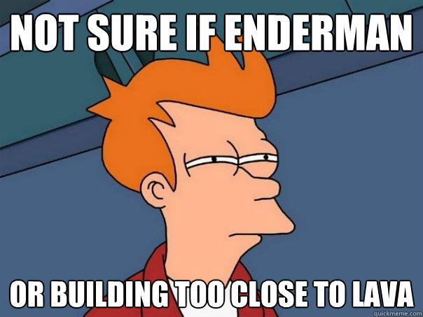 not sure if Enderman or building too close to lava  Futurama Fry