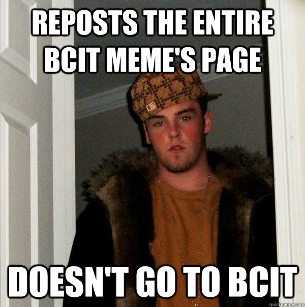 Reposts the entire BCIT Meme's page DOESN'T GO TO BCIT  Scumbag Steve