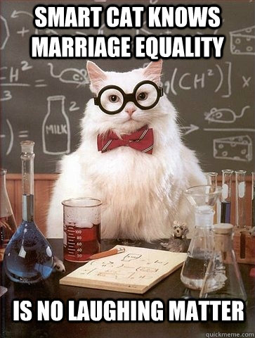 Smart Cat knows Marriage Equality is no laughing matter  Chemistry Cat