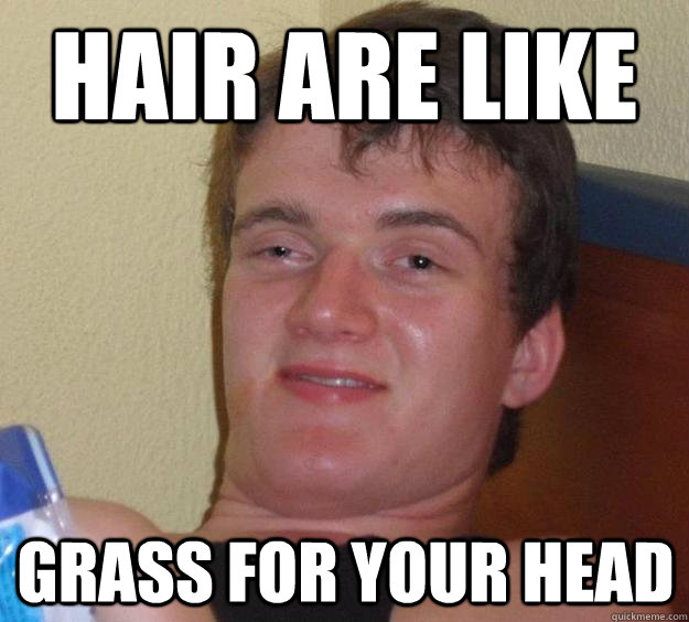 Hair are like  Grass for your head  10 Guy