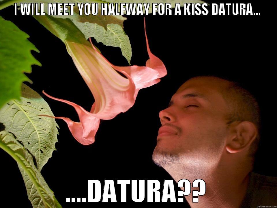 I WILL MEET YOU HALFWAY FOR A KISS DATURA... ....DATURA?? Misc