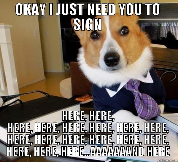 OKAY I JUST NEED YOU TO SIGN HERE, HERE, HERE, HERE, HERE, HERE, HERE, HERE, HERE, HERE, HERE, HERE, HERE, HERE, HERE, HERE, HERE...AAAAAAAND HERE Lawyer Dog