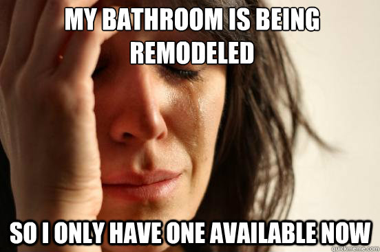 my bathroom is being remodeled so i only have one available now  First World Problems