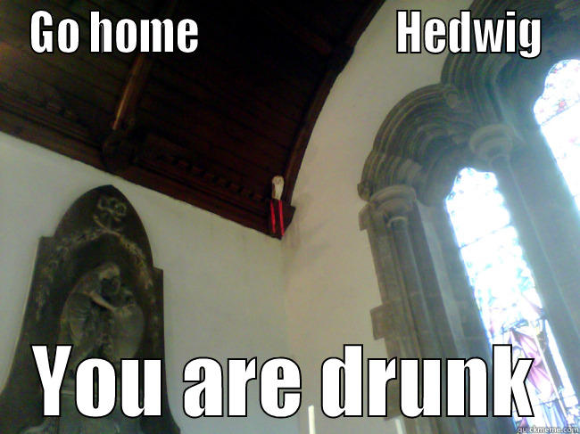 GO HOME                        HEDWIG YOU ARE DRUNK Misc