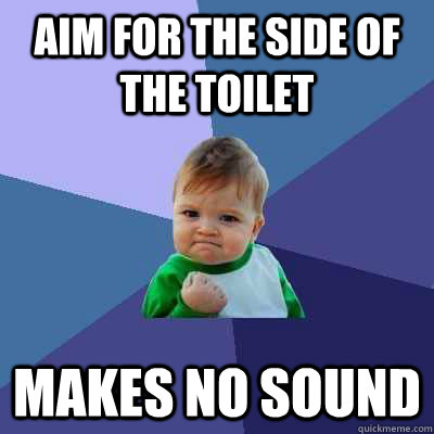 aim for the side of the toilet makes no sound  Success Kid