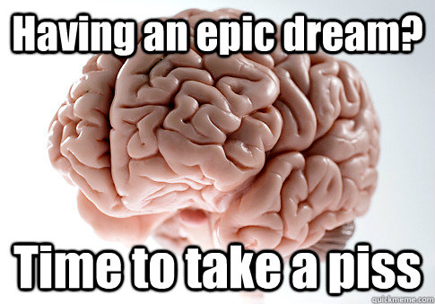 Having an epic dream? Time to take a piss  Scumbag Brain