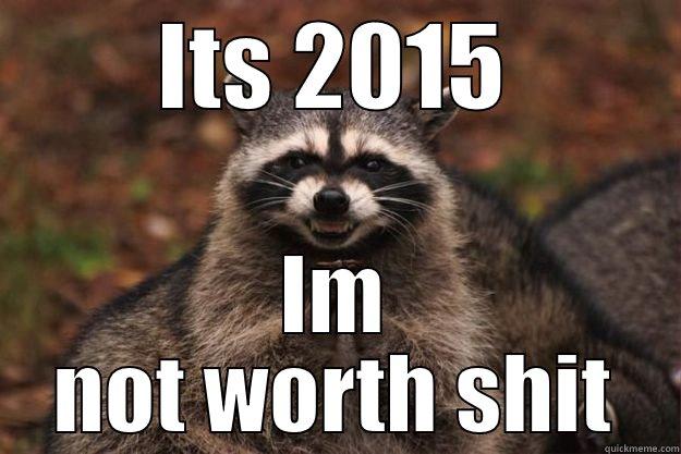 ITS 2015 IM NOT WORTH SHIT Evil Plotting Raccoon