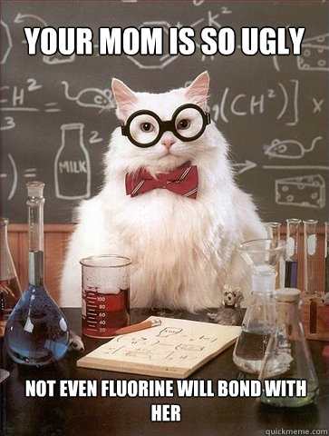 Your mom is so ugly not even fluorine will bond with her  Chemistry Cat