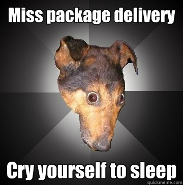 Miss package delivery Cry yourself to sleep  Depression Dog