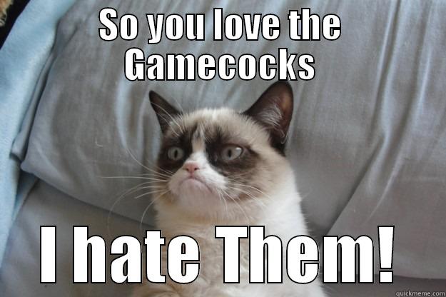 SO YOU LOVE THE GAMECOCKS I HATE THEM! Grumpy Cat