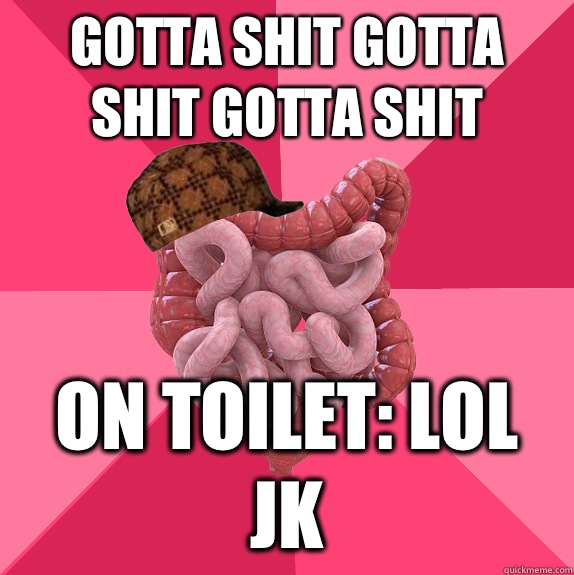 Gotta shit gotta shit gotta shit On toilet: Lol jk  Scumbag Intestines