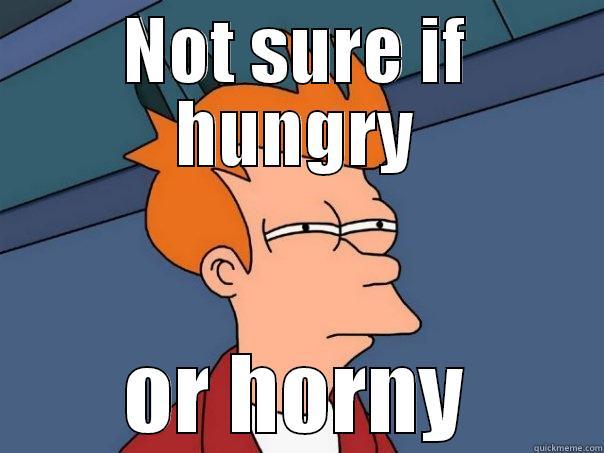 NOT SURE IF HUNGRY OR HORNY Futurama Fry