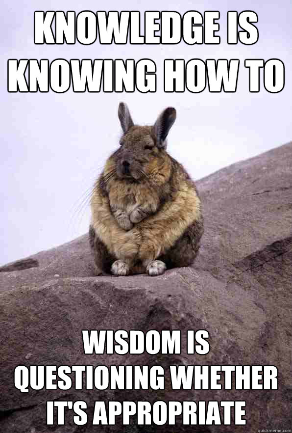 Knowledge is knowing how to wisdom is questioning whether it's appropriate - Knowledge is knowing how to wisdom is questioning whether it's appropriate  Wise Wondering Viscacha