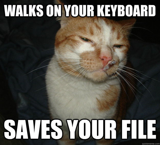 walks on your keyboard Saves your file - walks on your keyboard Saves your file  Cool Cat Craig