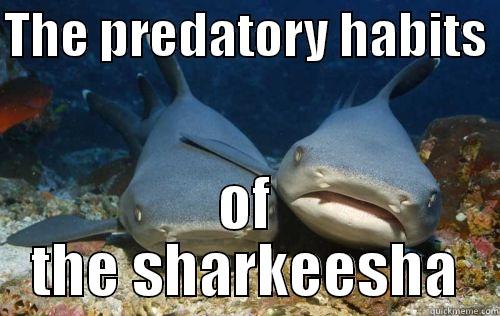 THE PREDATORY HABITS  OF THE SHARKEESHA Compassionate Shark Friend