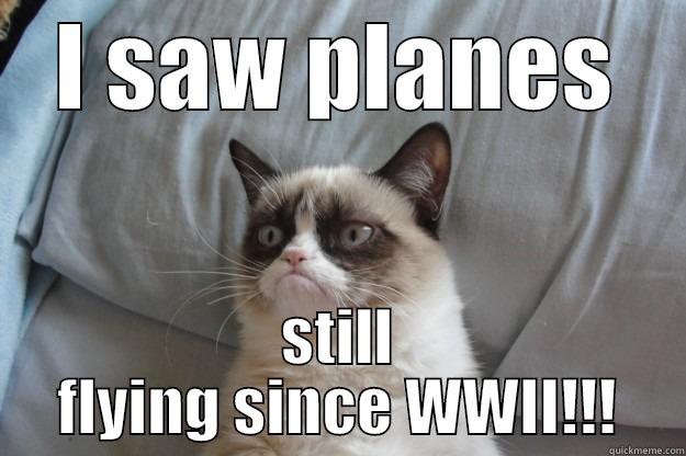 I SAW PLANES STILL FLYING SINCE WWII!!! Grumpy Cat