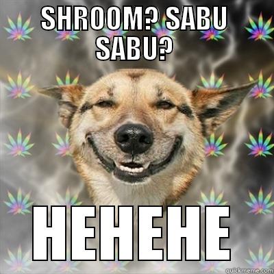 SHROOM? SABU SABU? HEHEHE Stoner Dog